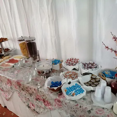 Manolita רימיני